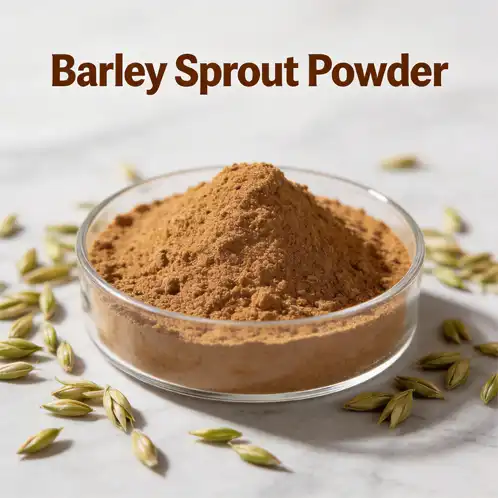 How Does Barley Sprout Powder Support Healthy Beverages?
